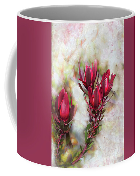 Leucadendron Coffee Mug featuring the photograph Leucadendron 3 by Elaine Teague