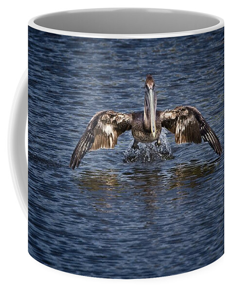 Brown Pelican Coffee Mug featuring the photograph Liftoff by Ronald Lutz