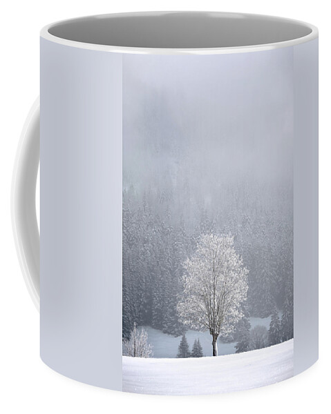 Clouds Coffee Mug featuring the photograph Light bath by Dominique Dubied
