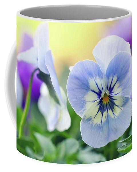Pansy Coffee Mug featuring the photograph Light Blue Pansy by Maria Meester