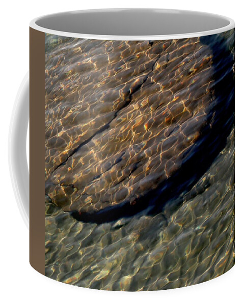  Coffee Mug featuring the photograph Light Dance by Dorsey Northrup