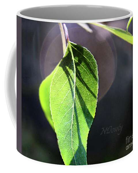 Light Effects Leaf Coffee Mug featuring the photograph Light Effects Leaf by Natalie Dowty