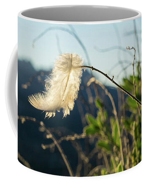 Feather Coffee Mug featuring the photograph Light feather in the wind by Adriana Mueller