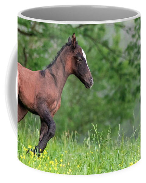 Horse Coffee Mug featuring the photograph Lil Ombre by Holly Ross