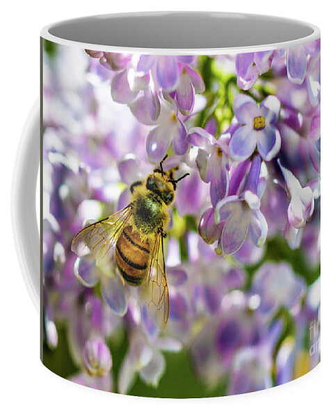 Lilac Coffee Mug featuring the photograph Lilac Bee by Darcy Dietrich