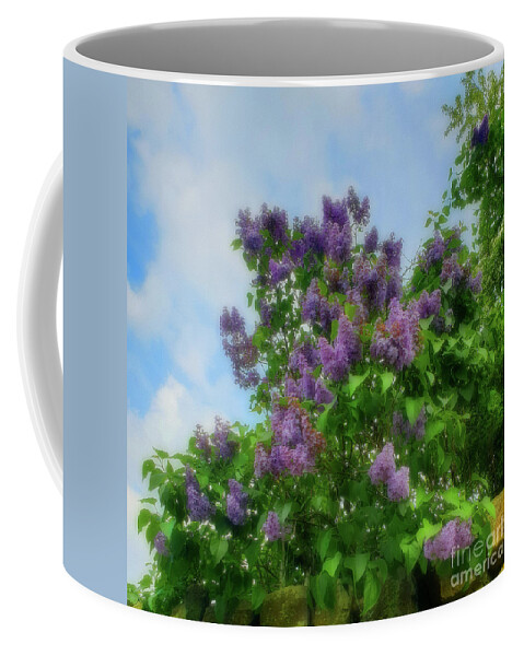 Lilac Coffee Mug featuring the photograph Lilac Bush - Syringa vulgaris by Yvonne Johnstone