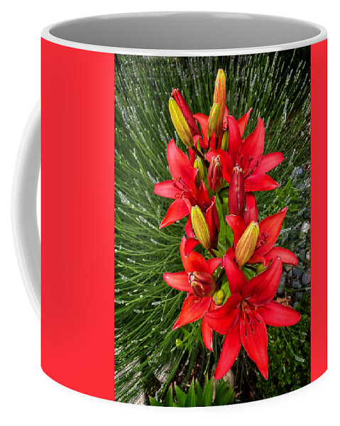 Lilium Coffee Mug featuring the photograph Lilium Blackout flower by Jerry Abbott