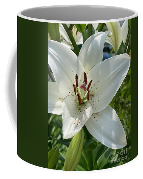 Lily Coffee Mug featuring the photograph Lily by Deena Withycombe