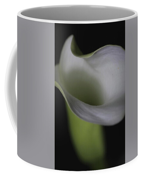 Botanical Coffee Mug featuring the photograph Lily Green Grey by Julie Powell