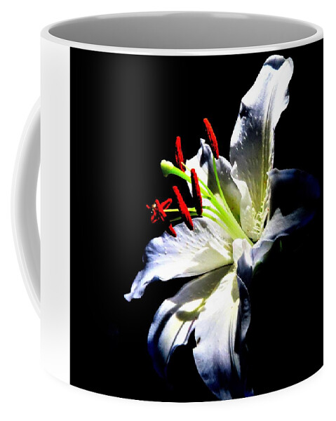 Flowers Coffee Mug featuring the photograph Lily Looking Toward the Light by Linda Stern