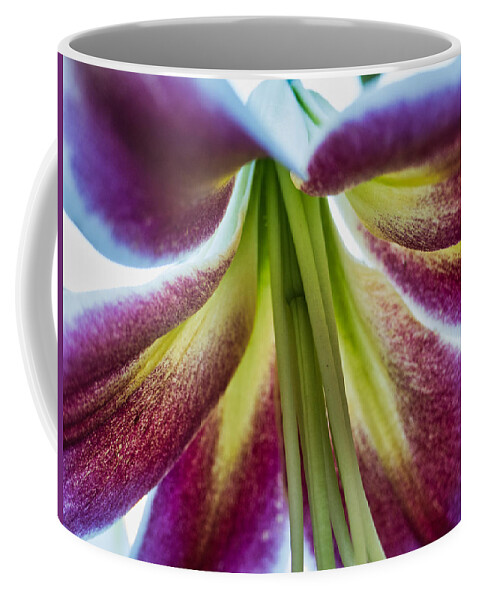 Flora Coffee Mug featuring the photograph Lily Meditation by Segura Shaw Photography