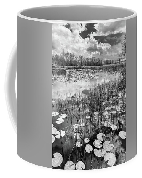 Clouds Coffee Mug featuring the photograph Lily Pads Floating on the Glades in Black and White by Debra and Dave Vanderlaan