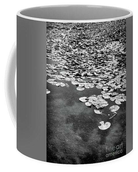 Ann Arbor Coffee Mug featuring the photograph Lily Pads by Phil Perkins