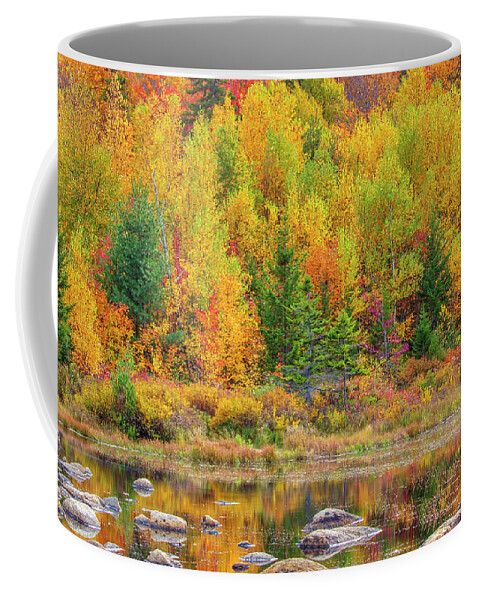 Lily Pond Coffee Mug featuring the photograph Lily Pond in the New Hampshire White Mountains by Juergen Roth
