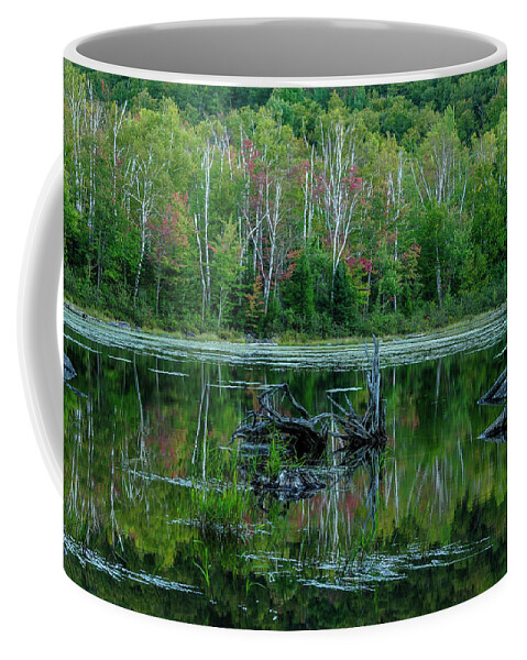 Adirondack Forest Preserve Coffee Mug featuring the photograph Lilypad Pond by Bob Grabowski
