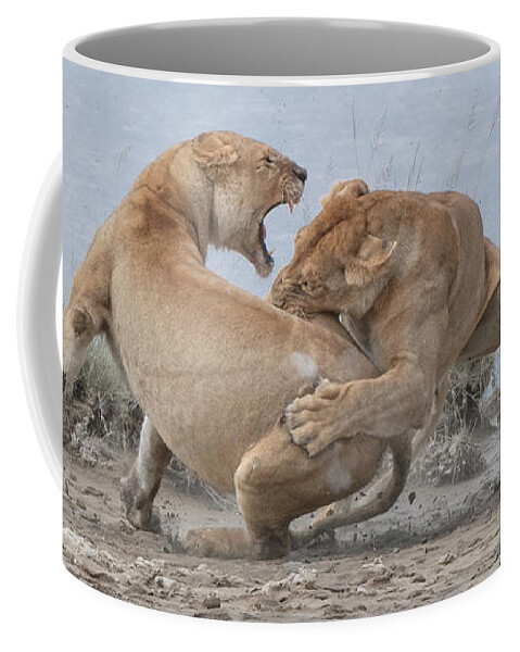 Lion Coffee Mug featuring the photograph Lion Fight by Patrick Nowotny