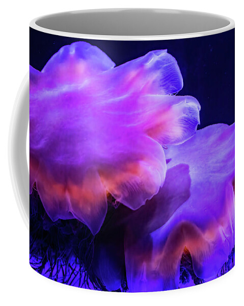 Sea Life Coffee Mug featuring the photograph Lion's Mane Jellies by Bob Cournoyer