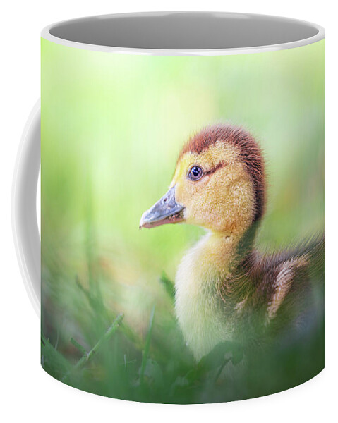Brown Duckling Coffee Mug featuring the photograph Little Baby Duckling In The Weeds by Jordan Hill