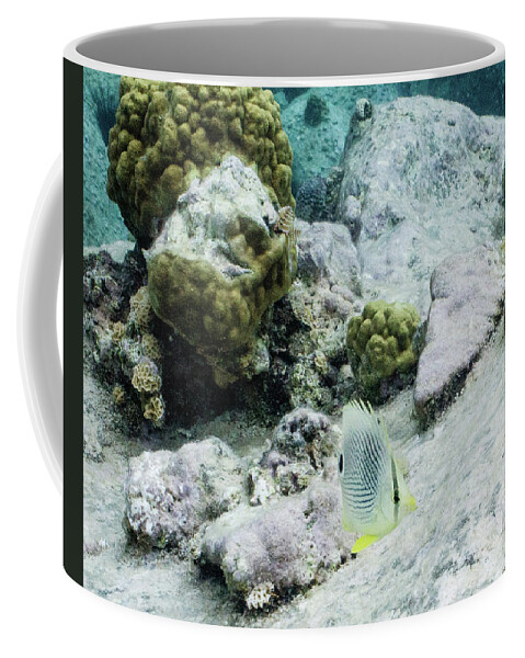 Animals Coffee Mug featuring the photograph Little Bit by Lynne Browne