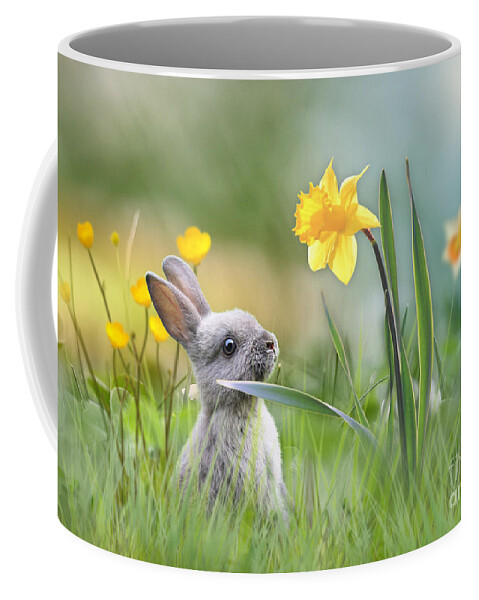 Bunny Rabbit Coffee Mug featuring the mixed media Little Bunny at Easter by Morag Bates