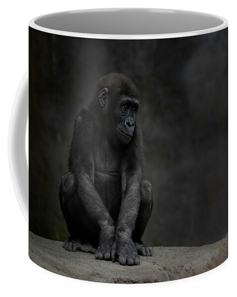 Larry Marshall Photography Coffee Mug featuring the photograph Little Chimp 4 by Larry Marshall