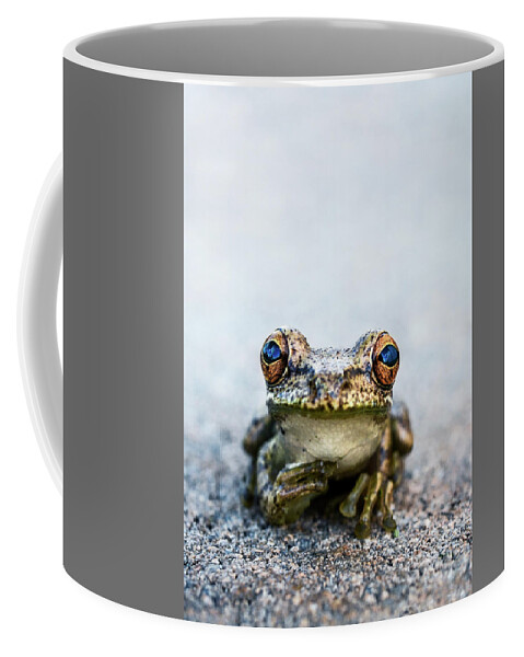 Animal Coffee Mug featuring the photograph Pondering Frog Too by Laura Fasulo
