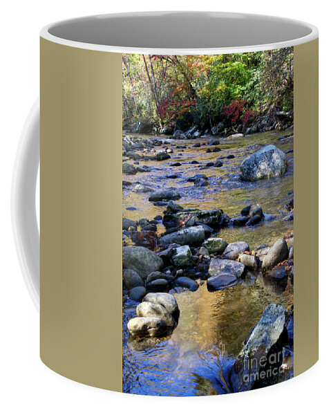 Cascades Coffee Mug featuring the photograph Little River In Autumn 2 by Phil Perkins