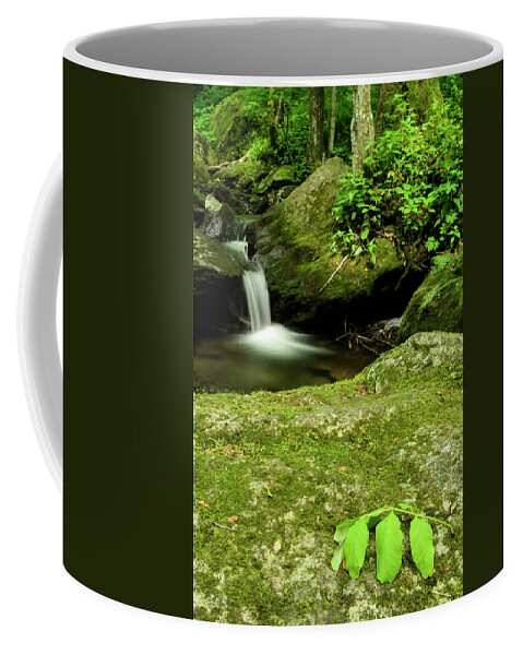 Blue Ridge Mountains Coffee Mug featuring the photograph Little Waterfall by Melissa Southern
