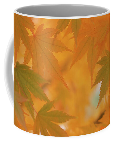 Landscape Coffee Mug featuring the photograph Live and Become by Karine GADRE