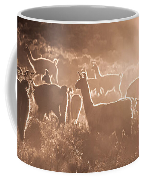 Llama Coffee Mug featuring the photograph Llamas and Shepherd by Peter Boehringer