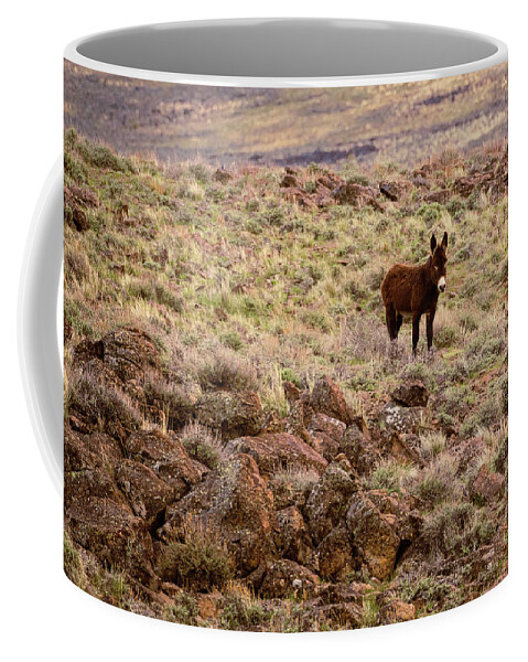 Lassen Coffee Mug featuring the photograph Lone Burro in the Desert by Mike Lee