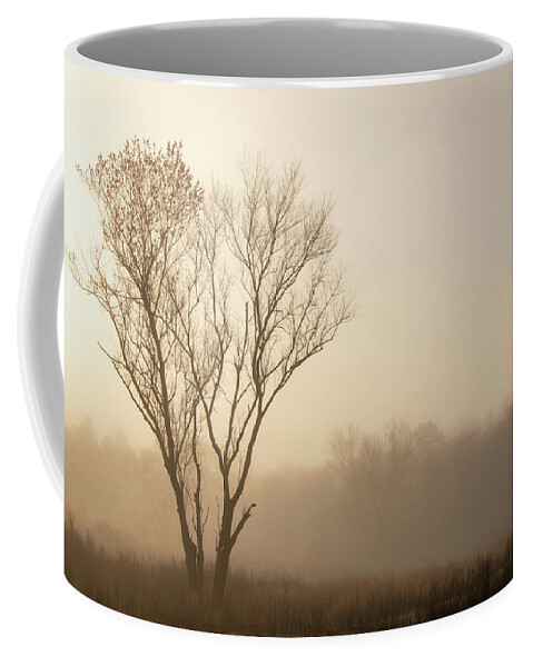Misty Coffee Mug featuring the photograph Lone Tree On A Foggy Morning by Kristia Adams