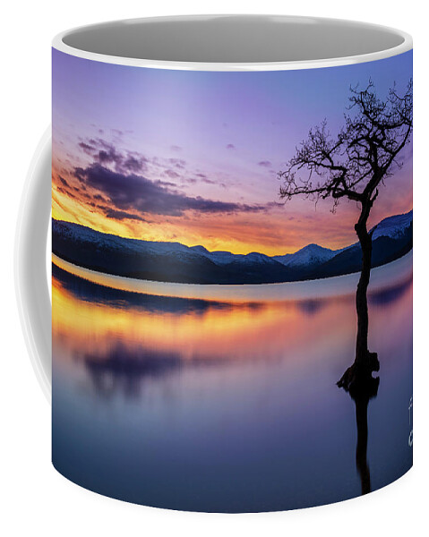 Loch Lomond Coffee Mug featuring the photograph Lone tree sunset at Milarrochy Bay, Loch Lomond, Scotland by Neale And Judith Clark