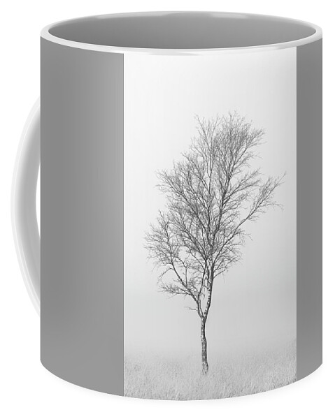 Birch Coffee Mug featuring the photograph Lonely birch tree surrounded by fog by Patrick Van Os