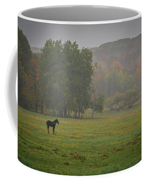 Foal Coffee Mug featuring the photograph Lonely Foal by Guy Coniglio