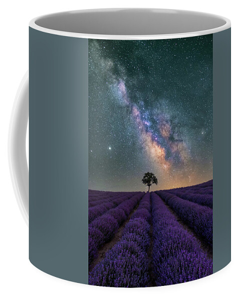 Lavender Coffee Mug featuring the photograph Lonely Tree in a Lavender Field under the Milky Way by Alexios Ntounas