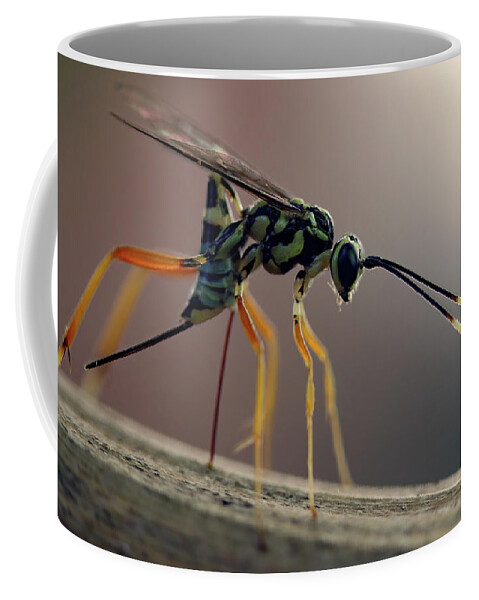 Insects Coffee Mug featuring the photograph Long Legged Alien by Jennifer Robin