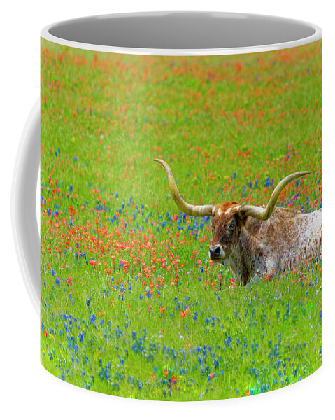 Longhorn Coffee Mug featuring the photograph Longhorn and Bluebonnets by Jonathan Davison