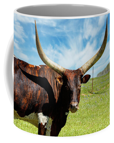 African Breed Coffee Mug featuring the photograph Longhorns by Raul Rodriguez