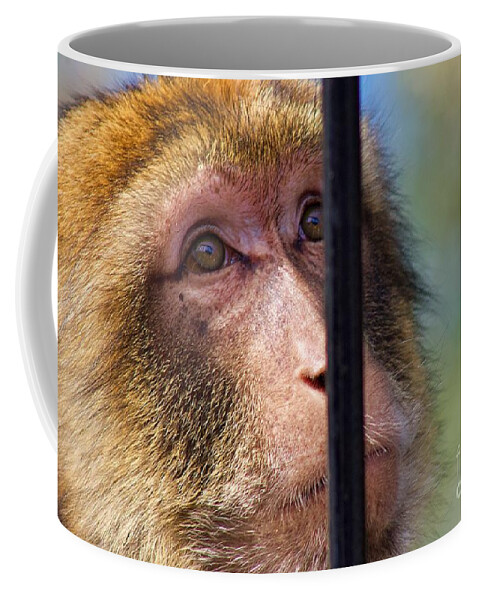 Monkey Coffee Mug featuring the photograph Longing by Yvonne M Smith