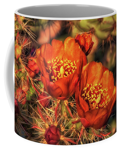Arizona Coffee Mug featuring the photograph Look But Don't Touch by Rick Furmanek