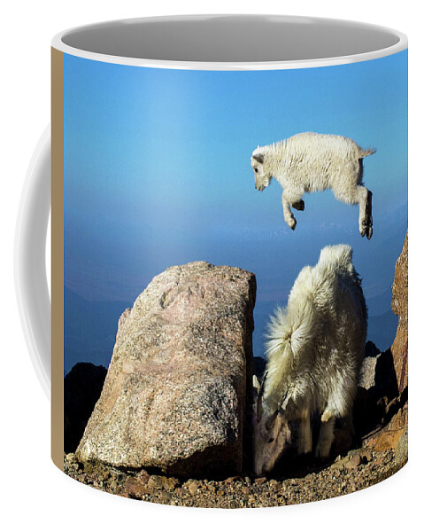Mountain Goat Coffee Mug featuring the photograph Look Ma, I'm Flying by Judi Dressler