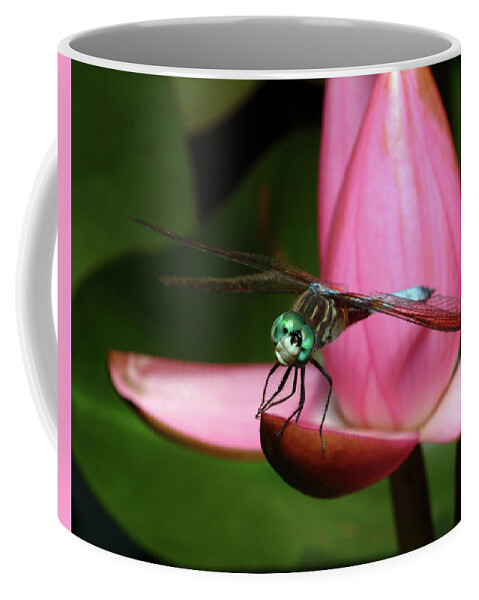 Dragonfly Coffee Mug featuring the photograph Look of a Dragonfly by Melissa Southern