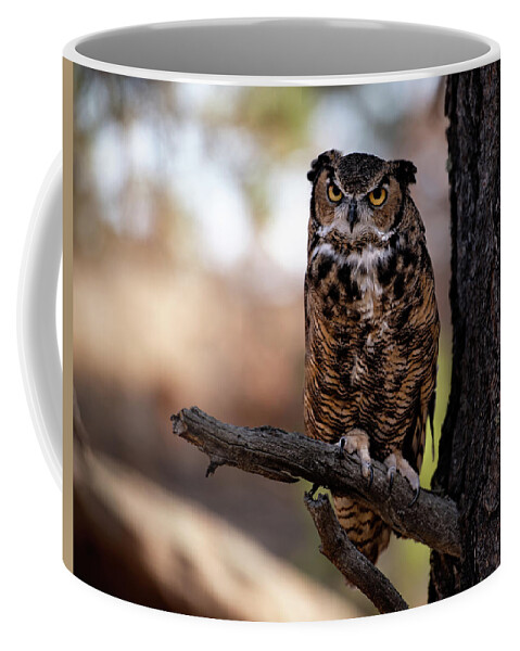 Owl Coffee Mug featuring the photograph Looking at You by Elin Skov Vaeth