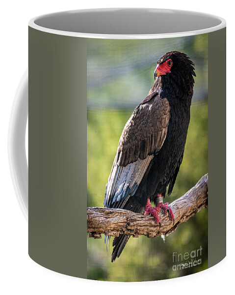 Bird Coffee Mug featuring the photograph Looking Over My Shoulder by David Levin