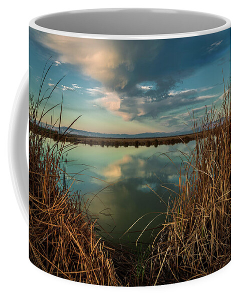 Salton Sea Coffee Mug featuring the photograph Looking Through the Reeds by Rick Strobaugh