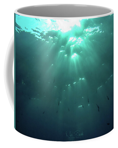 Salvador Dali Coffee Mug featuring the photograph Looking Up by Meir Ezrachi
