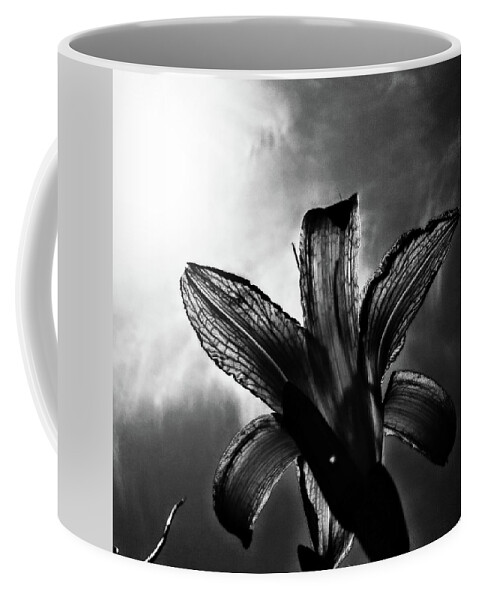 Daylily Silhouette Coffee Mug featuring the digital art Looking Up by Pamela Smale Williams