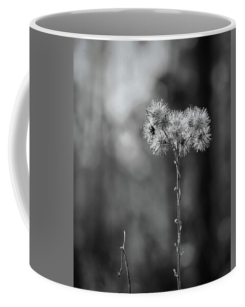 Monochrome Coffee Mug featuring the photograph Looking Up by Randall Allen