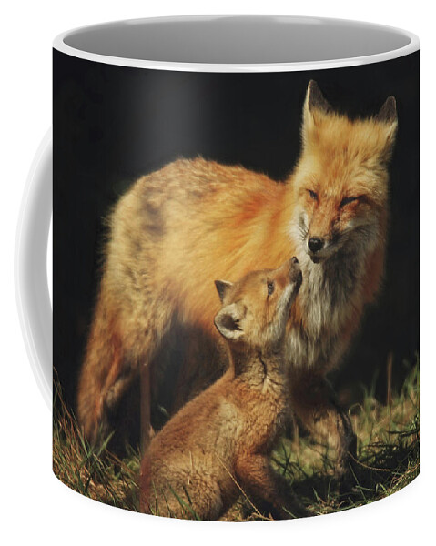 Red Fox Coffee Mug featuring the photograph Looking up to Mommy by Carrie Ann Grippo-Pike